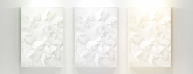 676845: 615535: Gallery interior Paper Butterflies color -composed These three white spot lights have the same xy color coordinates but appear slightly different in color.