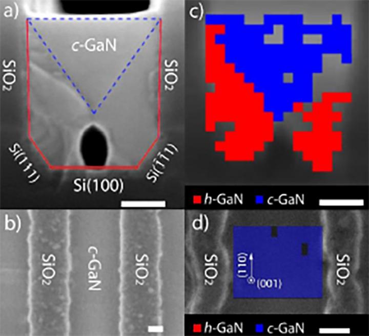 A new method of cubic phase synthesis: Hexagonal-to-cubic phase transformation. The scale bars represent 100 nm in all images. (a) Cross sectional and (b) Top-view SEM images of cubic GaN grown on U-grooved Si(100). (c) Cross sectional and (d) Top-view EBSD images of cubic GaN grown on U-grooved Si(100), showing cubic GaN in blue, and hexagonal GaN in red.--Images courtesy of University of Illinois